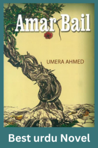 Amar Bail by Umaira Ahmad