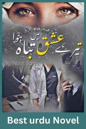 Tere Ishq main Tabah Hua Novel By Noor Bano